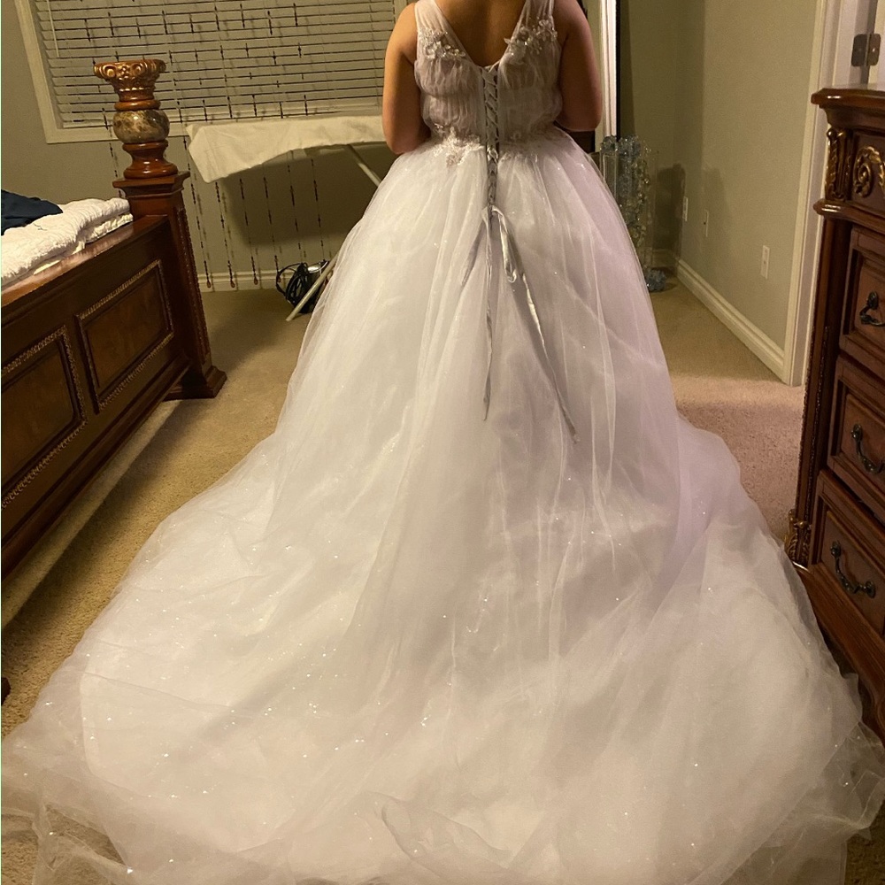 Brides wedding dress